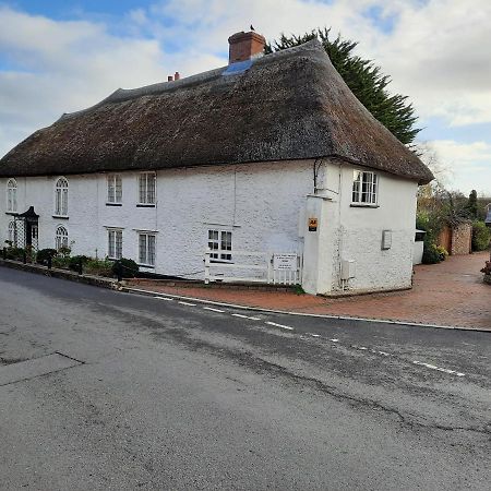 The White Cottage Colyton Екстер'єр фото