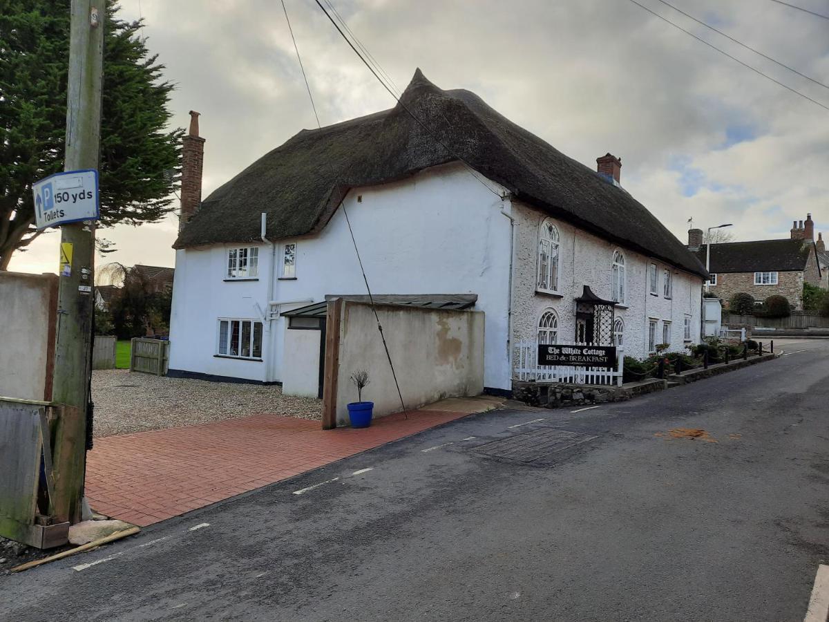 The White Cottage Colyton Екстер'єр фото
